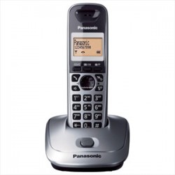 Cordless Panasonic KX-TG2511JTM silver