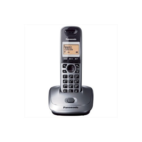 Cordless Panasonic KX-TG2511JTM silver