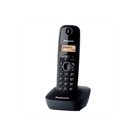 Cordless Panasonic TG1611JTH black