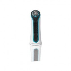 Ventilatore Rowenta VU6210