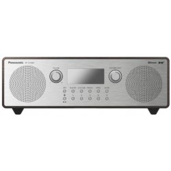 Radio Panasonic RFD100BTEGT