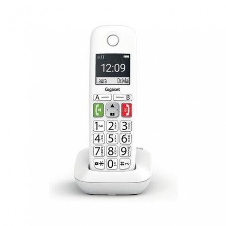 Cordless Siemens Gigaset E290 white