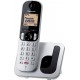 Cordless Panasonic KX-TGC250JTS silver