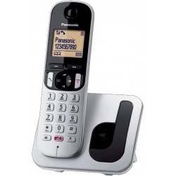 Cordless Panasonic KX-TGC250JTS silver