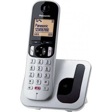 Cordless Panasonic KX-TGC250JTS silver