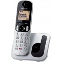 Cordless Panasonic KX-TGC250JTS silver