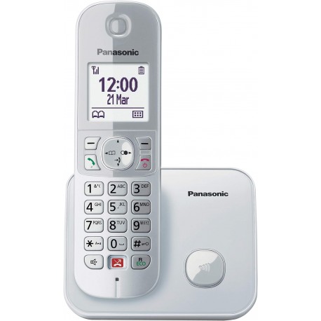 Cordless Panasonic KX-TG6851JTS silver